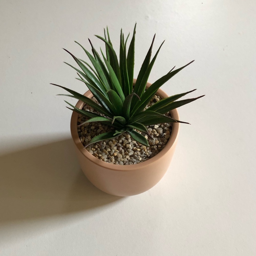 Fake house plant